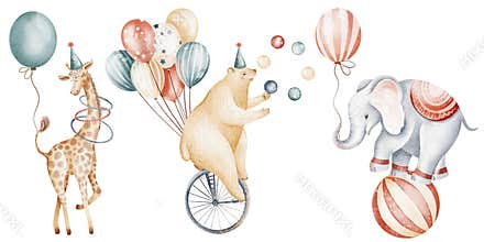 Circus Animals Watercolor Illustration Set