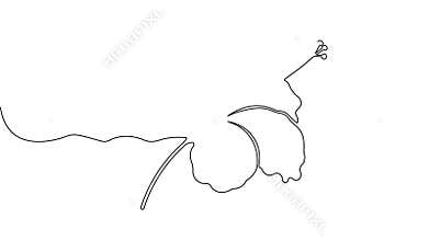 Minimalist hibiscus bloom continuous line drawing icon loop animation