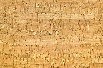 Cork Background