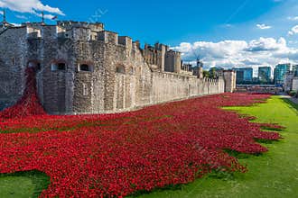 Red poppies art installation at Tower of London, UK