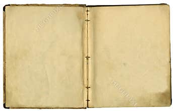 Pages it is developed old book