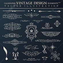 Vector vintage set. Calligraphic elements and page decoration pr