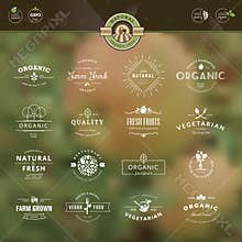 Set of badges and labels for organic food and drin