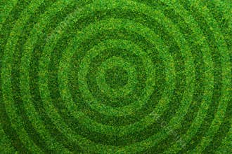 Green grass soccer field