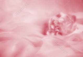 Soft Pink Wedding
