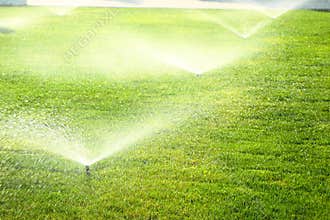 Garden sprinkler on the green lawn