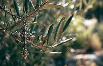 Silver christian cross hanging on olive tree branch symbolizing faith and spirituality