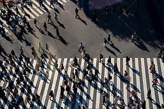 Pedestrians crossing a crosswalk in Shibuya