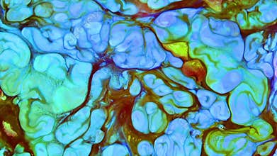 Slow Motion Macro Abstract Pattern Artistic Concept Color Surface Moving Surface Liquid Paint Splashing Art Design Texture