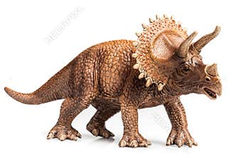Triceratops