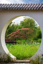 Silk tree by lotus pond through the full moon gate, Beijing Old Summer Palace, China