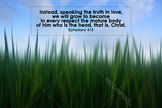 Bible verse quote from Ephesians 4:15 about speaking the truth in love.
