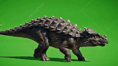 Ankylosaurus walking with green screen background full body view