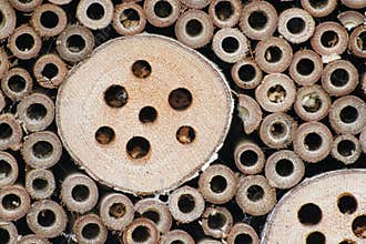Holes in Wood for Solitary Bees