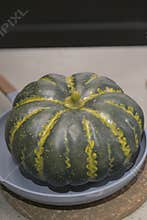 Green and yellow decorative squash displayed on a kitchen plate in modern home setting