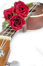 Red rose and ukulele