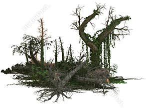 Dead trees and plants