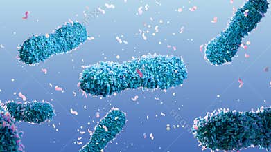 microscopic visualization of pathogenic bacteria causing infection, showing rod-shaped microorganisms under magnification