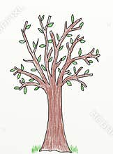 Tree - children drawing