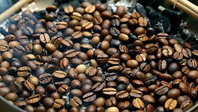 Freshly roasted coffee beans cooling on a metal tray after roasting for a rich aroma and flavor