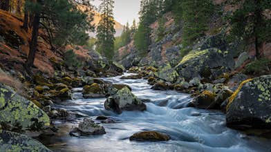 Scenic Rogue River Flows Through a Rocky Canyon With Evergreen Trees During Sunset