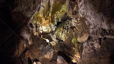 Postojna Caves, a World Heritage Site, in central Slovenia, Europe.