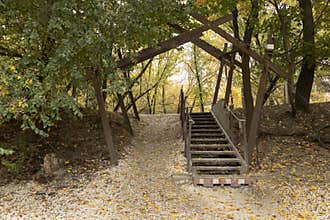 Wooden staircase in autumn forest