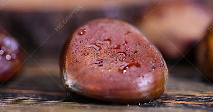 a hard, edible chestnut fruit in a brown shell covered with