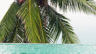 it is raining heavily, a palm tree by the pool in a luxury villa and the sea