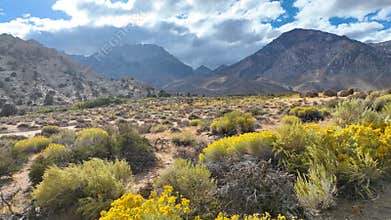 Aerial Buttermilk Boulders Bishop California Wildflowers and Sierra Nevada Fly Through