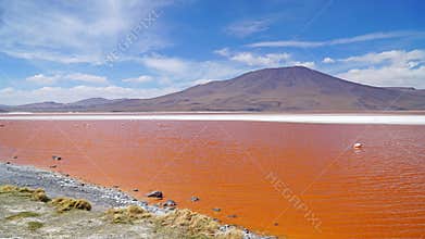 Laguna Colorada (The Red Lagoon) and Andean Flamingos in Uyuni, Bolivia