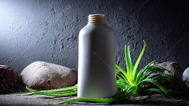 A natural product presentation features a bottle, aloe vera, and stones against a dark, textured backdrop