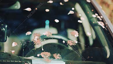 Close up of a car windshield dirty with