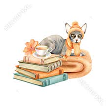 Sphynx cat in clothes sits on plaid next to stack of books, cup of tea, flower. Hairless Kitty animal in knitted hat