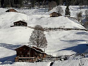 Old traditional swiss rural architecture and alpine livestock farms in the winter ambience of the alpine village St. Antönien