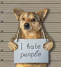 Bad dog hating people