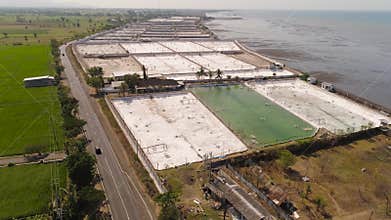 Shrimp farming in Indonesia