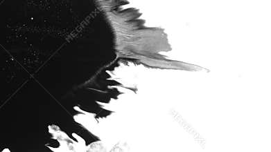 Ink Bloom on white Ink bleed Bloom.