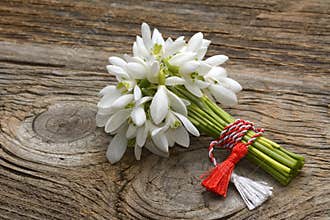Snowdrops, 1st of March tradition white and red cord martisor isolated on wooden background