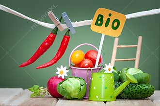 Health bio organic food concept. Stylish composition of small fruits and vegetables and garden