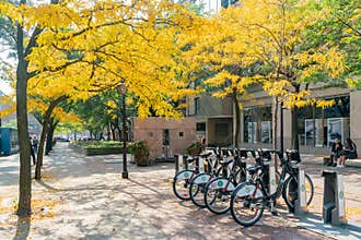 Public bicycle and fall color