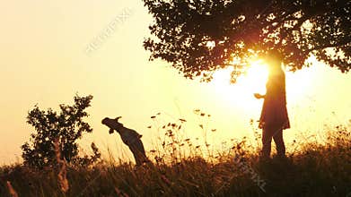 Silhouettes of girl training and playing with her cute dog during amazing sunset