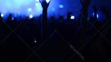 A huge crowd jumping on concert band