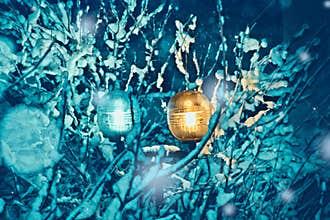 Light lantern and snow-covered trees on a cold winter night