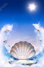 Shell for Aphrodite