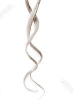 Gray wavy hair isolated on white background. Thin curl