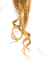 Blond wavy hair isolated on white background. Thin curl
