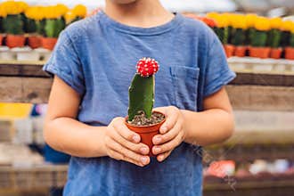 Cactus in the hands of the boy. little boy hugging his houseplant cactus
