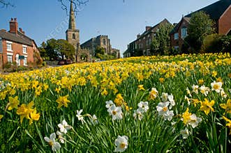Spring in the village