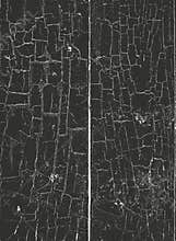 Distress old dry wooden textures.  EPS8 vector.